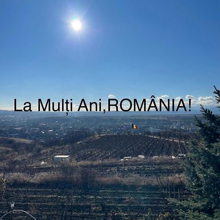 مبيت وإفطار توردا Wineyards Salin المظهر الخارجي الصورة