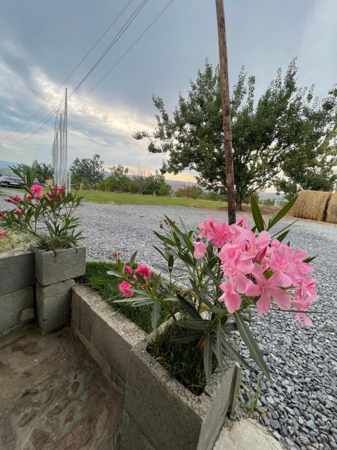 مبيت وإفطار توردا Wineyards Salin المظهر الخارجي الصورة